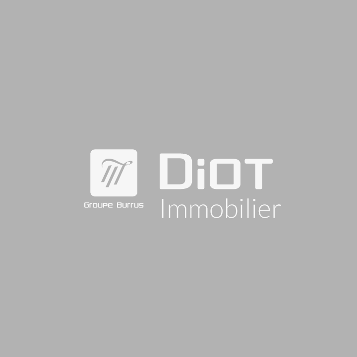 DIOT IMMOBILIER