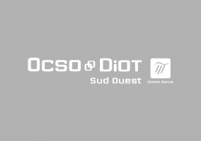 DIOT SUD OUEST OCSO